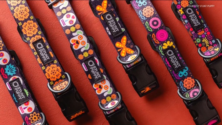 Colorful Día de los Muertos pet accessories by Stunt Puppy and Luis Fitch.